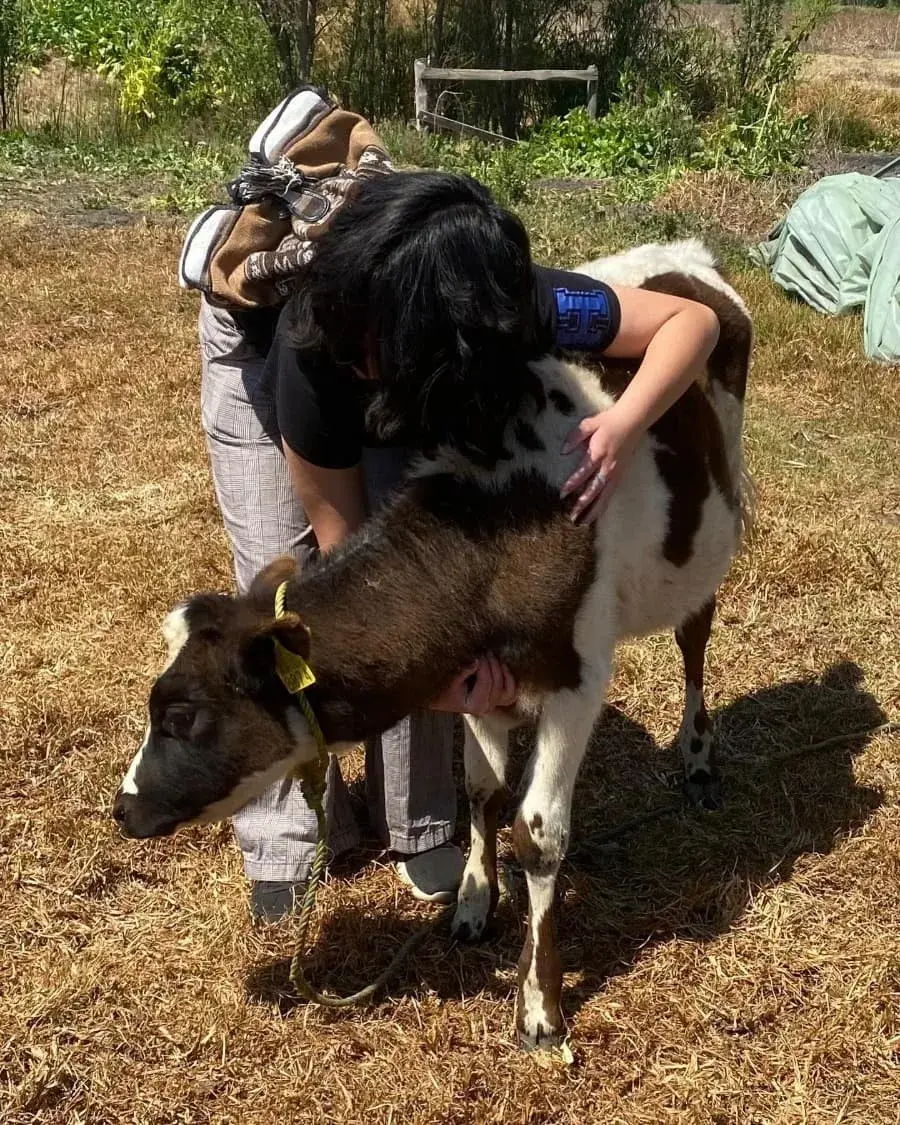 Is Xochimilco Known for Its Floating Gardens
